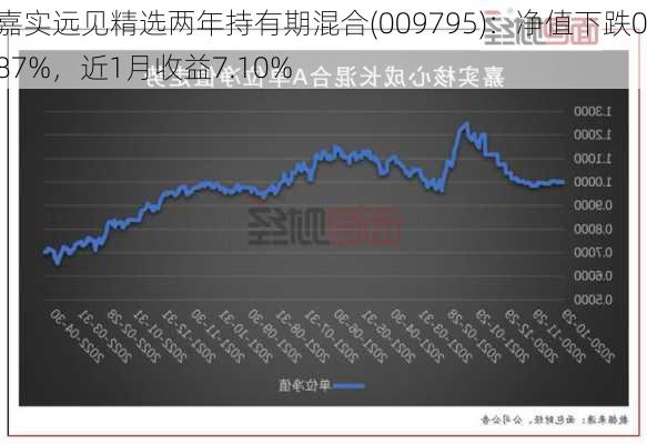 嘉实远见精选两年持有期混合(009795)：净值下跌0.87%，近1月收益7.10%