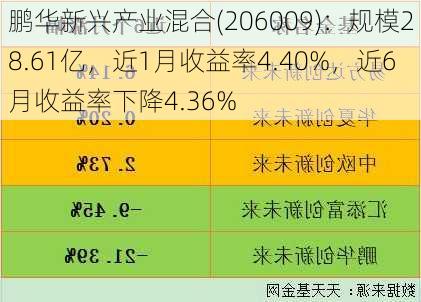 鹏华新兴产业混合(206009)：规模28.61亿，近1月收益率4.40%，近6月收益率下降4.36%