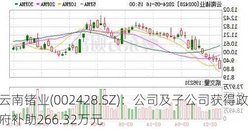 云南锗业(002428.SZ)：公司及子公司获得政府补助266.32万元