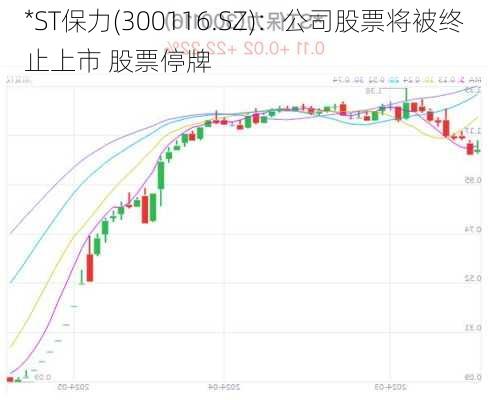 *ST保力(300116.SZ)：公司股票将被终止上市 股票停牌