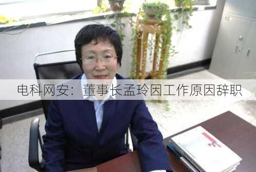 电科网安：董事长孟玲因工作原因辞职