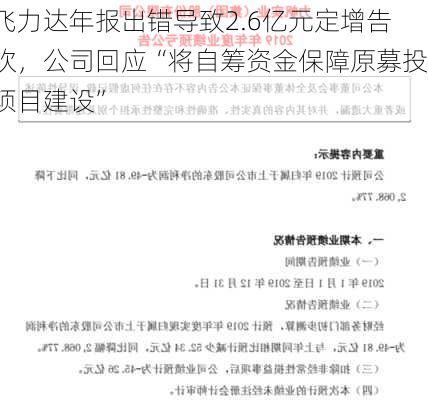 飞力达年报出错导致2.6亿元定增告吹，公司回应“将自筹资金保障原募投项目建设”