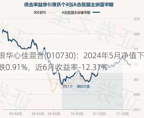 银华心佳混合(010730)：2024年5月净值下跌0.91%，近6月收益率-12.31%