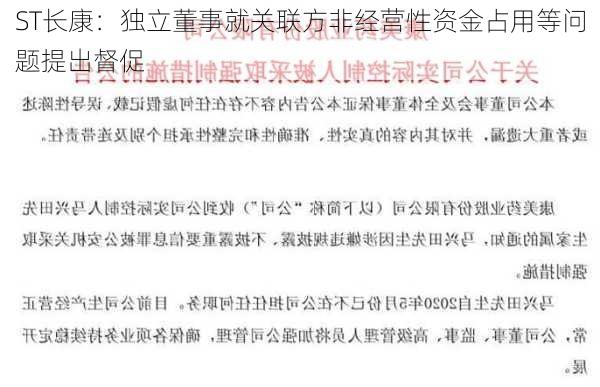 ST长康：独立董事就关联方非经营性资金占用等问题提出督促