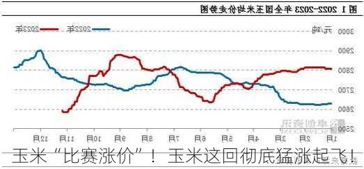 玉米“比赛涨价”！玉米这回彻底猛涨起飞！