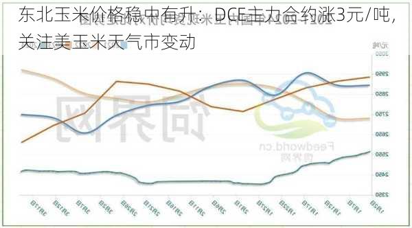 东北玉米价格稳中有升：DCE主力合约涨3元/吨，关注美玉米天气市变动