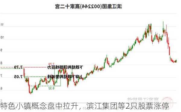 特色小镇概念盘中拉升，滨江集团等2只股票涨停