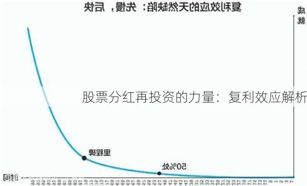 股票分红再投资的力量：复利效应解析