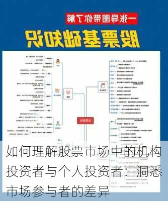 如何理解股票市场中的机构投资者与个人投资者：洞悉市场参与者的差异