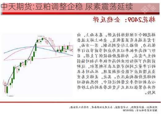 中天期货:豆粕调整企稳 尿素震荡延续