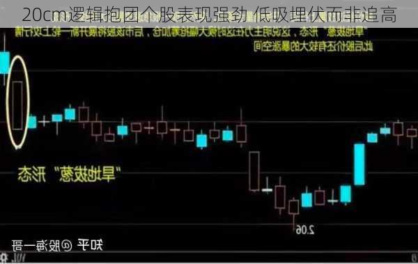 20cm逻辑抱团个股表现强劲 低吸埋伏而非追高