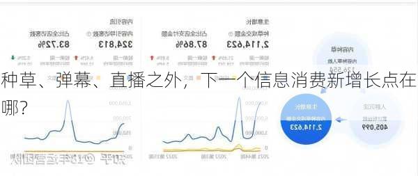 种草、弹幕、直播之外，下一个信息消费新增长点在哪？