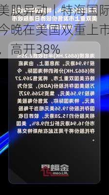 美股异动丨特海国际今晚在美国双重上市，高开38%