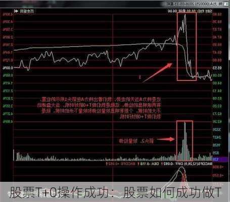 股票T+0操作成功：股票如何成功做T