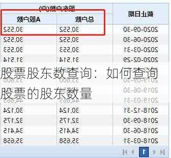 股票股东数查询：如何查询股票的股东数量