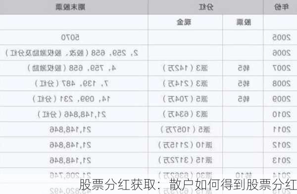 股票分红获取：散户如何得到股票分红