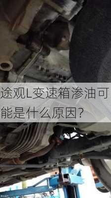 途观L变速箱渗油可能是什么原因？