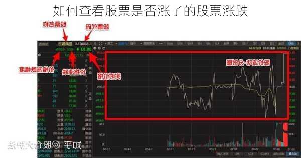 如何查看股票是否涨了的股票涨跌