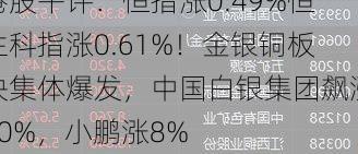 港股午评：恒指涨0.49%恒生科指涨0.61%！金银铜板块集体爆发，中国白银集团飙涨50%，小鹏涨8%