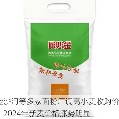 金沙河等多家面粉厂调高小麦收购价：2024年新麦价格涨势明显