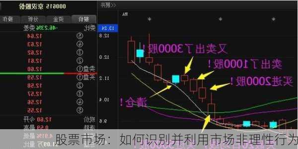 股票市场：如何识别并利用市场非理性行为