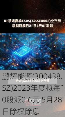 鹏辉能源(300438.SZ)2023年度拟每10股派0.6元 5月28日除权除息