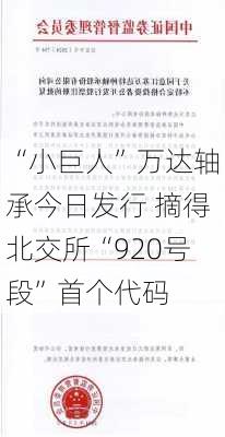 “小巨人”万达轴承今日发行 摘得北交所“920号段”首个代码