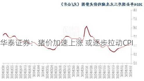 华泰证券：猪价加速上涨 或逐步拉动CPI