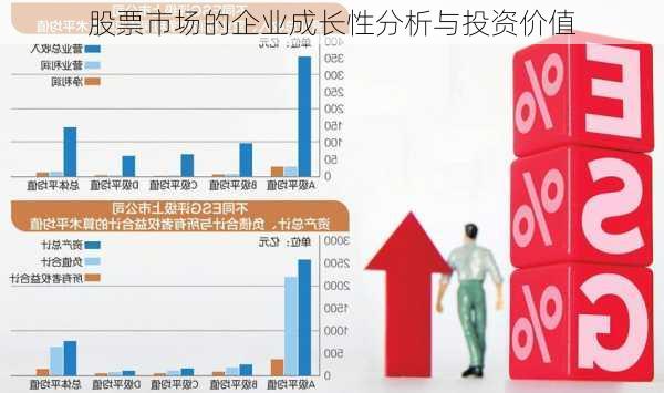 股票市场的企业成长性分析与投资价值