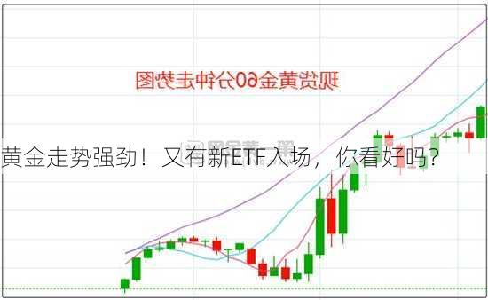 黄金走势强劲！又有新ETF入场，你看好吗？