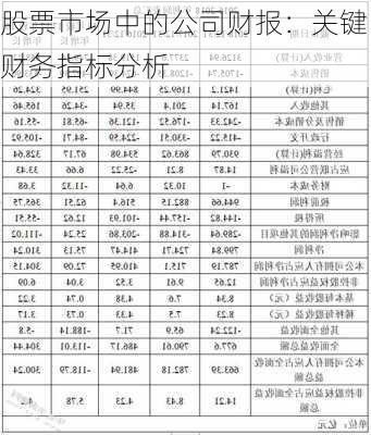 股票市场中的公司财报：关键财务指标分析