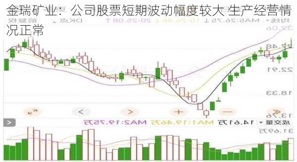 金瑞矿业：公司股票短期波动幅度较大 生产经营情况正常