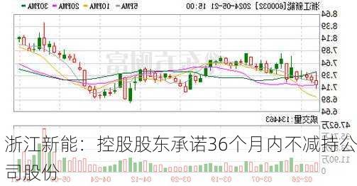 浙江新能：控股股东承诺36个月内不减持公司股份