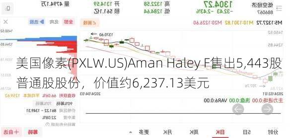 美国像素(PXLW.US)Aman Haley F售出5,443股普通股股份，价值约6,237.13美元