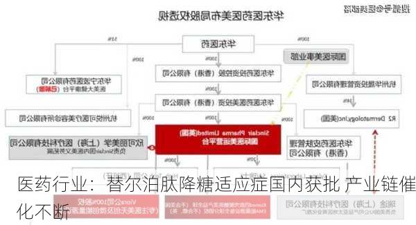 医药行业：替尔泊肽降糖适应症国内获批 产业链催化不断