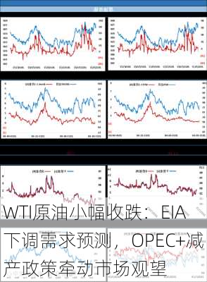 WTI原油小幅收跌：EIA下调需求预测，OPEC+减产政策牵动市场观望