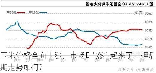 玉米价格全面上涨，市场 “燃”起来了！但后期走势如何？