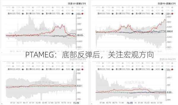 PTAMEG：底部反弹后，关注宏观方向