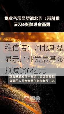 维信诺：河北新型显示产业发展基金拟减资6亿元