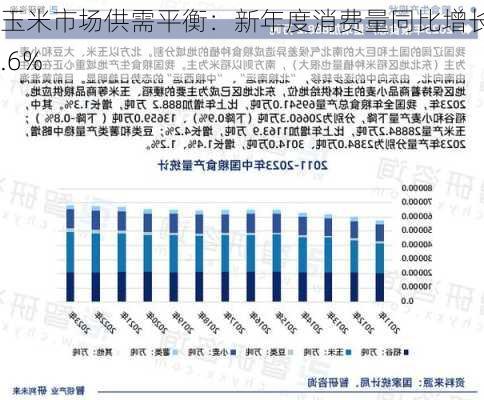 玉米市场供需平衡：新年度消费量同比增长1.6%