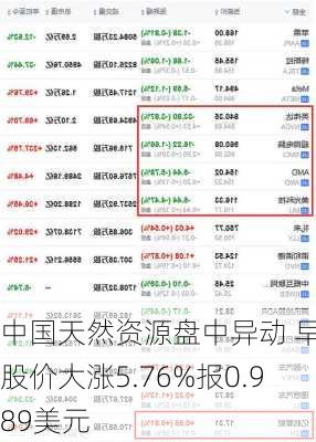 中国天然资源盘中异动 早盘股价大涨5.76%报0.989美元