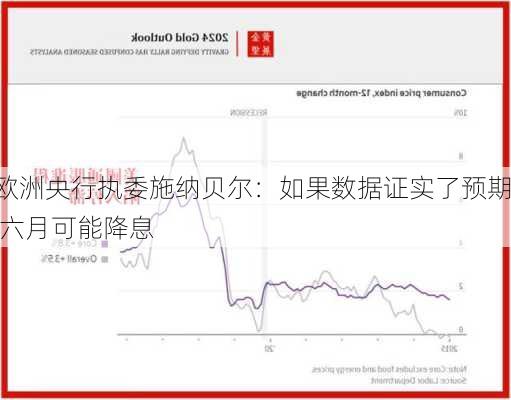 欧洲央行执委施纳贝尔：如果数据证实了预期 六月可能降息