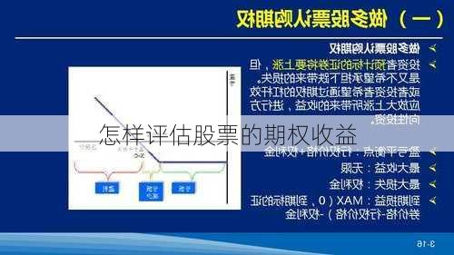 怎样评估股票的期权收益