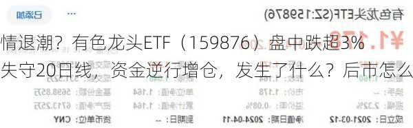 行情退潮？有色龙头ETF（159876）盘中跌超3%，失守20日线，资金逆行增仓，发生了什么？后市怎么看？