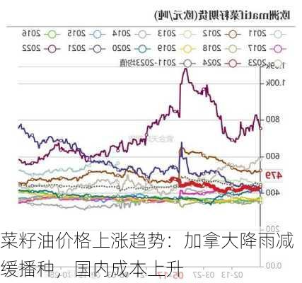 菜籽油价格上涨趋势：加拿大降雨减缓播种，国内成本上升