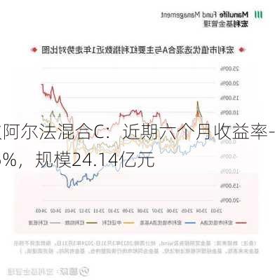 中欧阿尔法混合C：近期六个月收益率-4.05%，规模24.14亿元