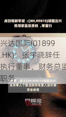 兴达国际(01899.HK)：张宇晓辞任执行董事、财务总监等职务