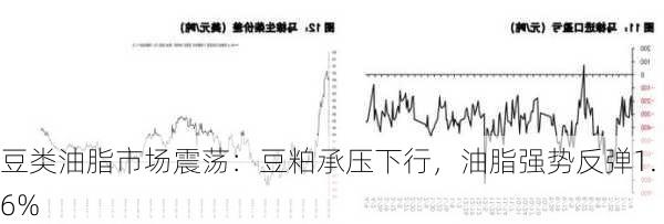 豆类油脂市场震荡：豆粕承压下行，油脂强势反弹1.6%