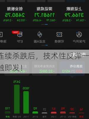 连续杀跌后，技术性反弹一触即发！