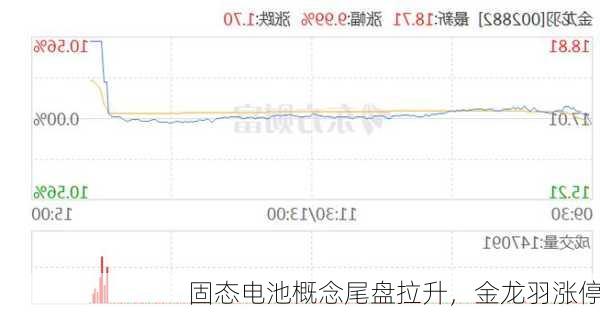 固态电池概念尾盘拉升，金龙羽涨停